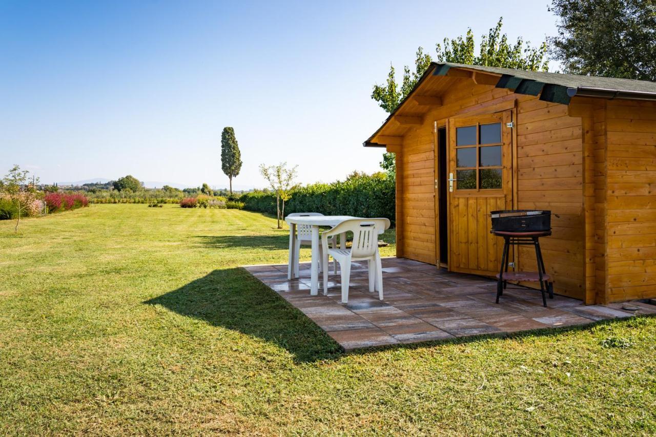 Borgo Terrosi Bed & Breakfast Синалунга Екстериор снимка